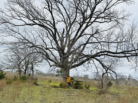 3rd image of 405 County Road 96
