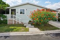 Palm Dr-S2709-001.jpg