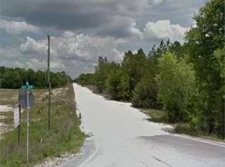 29 Northwest Ter, Bell, FL 32619