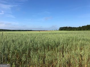 0 State Highway 257, Chester, GA 31012