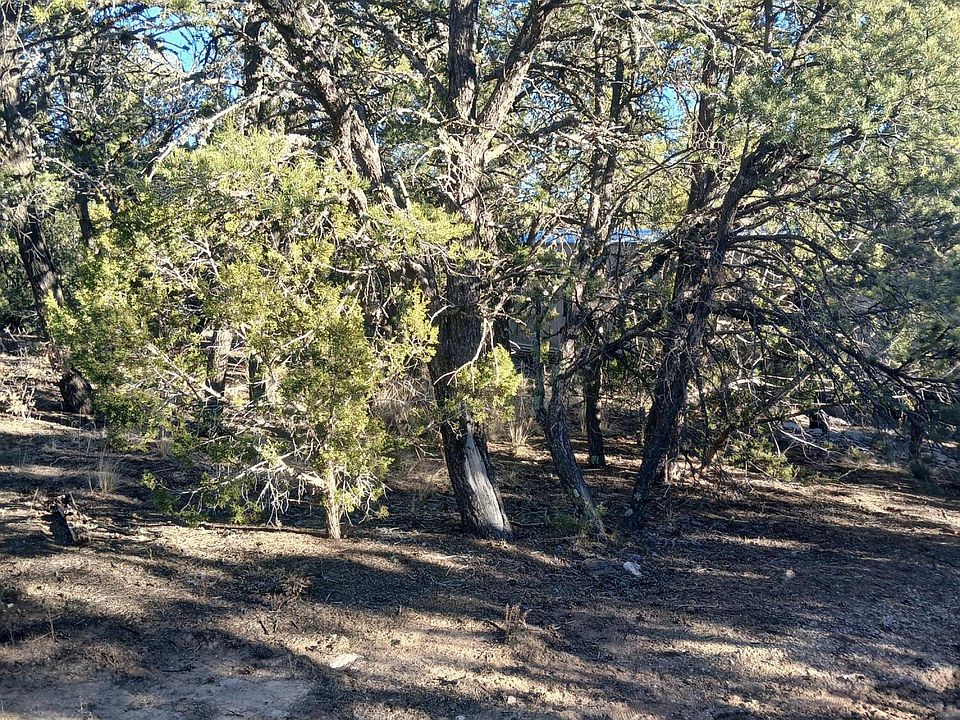 2nd image of 28 Tebbetts Rd