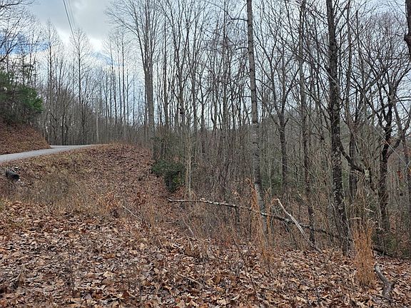 2nd image of 35AC Ducks Nest Rd