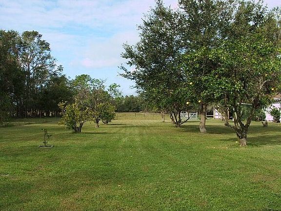 back yard - 4.9 acres