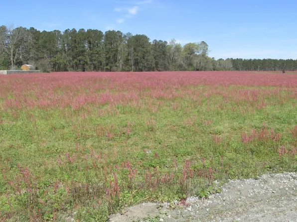 000 Mustang Ln., Pamplico, SC 29583