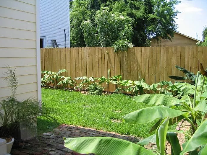 2 bed, 1350 sqft, $2,100 — Photo 4