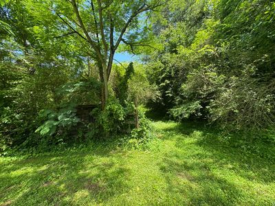 0 Bogard Rd, Cosby, TN, 37722