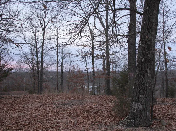 3053 Mc8012 Rd, Yellville, AR 72687