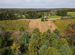 330 Tallow Hill Rd, Spencer, NY 14883