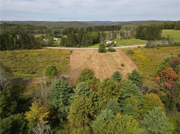 330 Tallow Hill Rd, Spencer, NY 14883