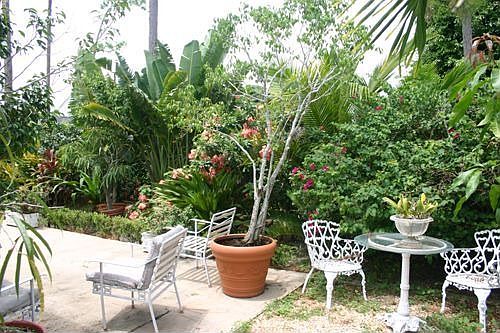 Yard/Patio