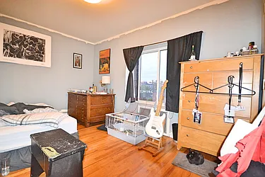 Rented by Bold New York