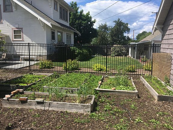 Shared garden. Raspberries and fruit trees (not pictured) are busting out now. Happy to share.