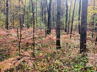 Off Of Centerline Rd, Mio, MI 48647