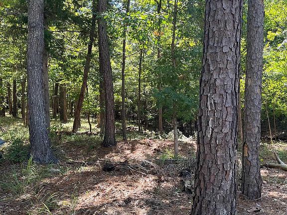 2nd image of 10 Cypress Creek Dr