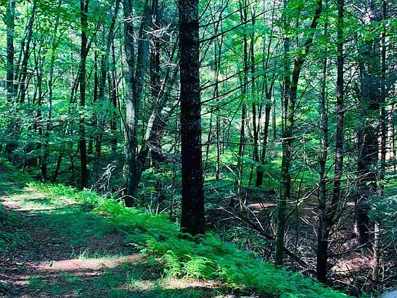 3rd image of 0 Edsel Hollow Trl