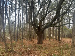 2437 Cape Rd, Johns Island, SC 29455