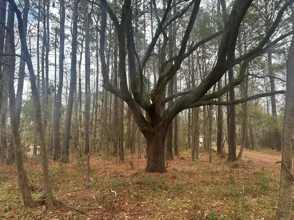 2437 Cape Rd, Johns Island, SC 29455