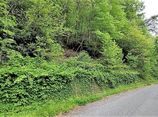 Rebel Cir, Damascus, VA 24236