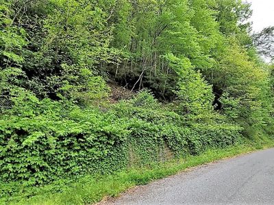 Rebel Cir, Damascus, VA, 24236