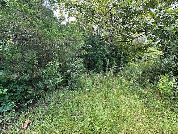 2nd image of Boyd Rd