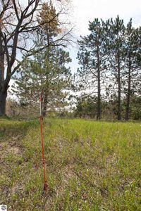 2 M 66, Fife Lake, MI, 49633
