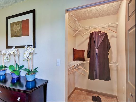 Huge closets