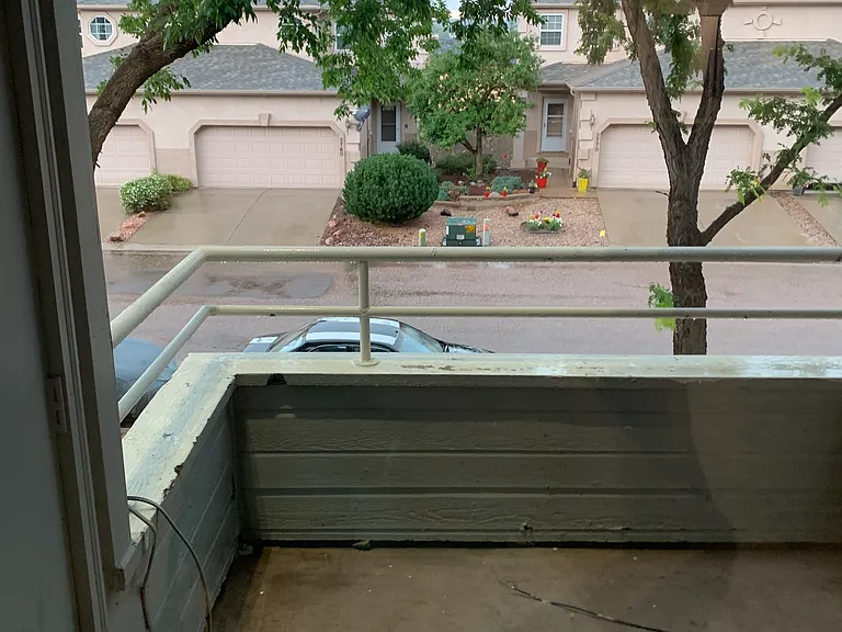 3642 Iguana Dr — Photo 13