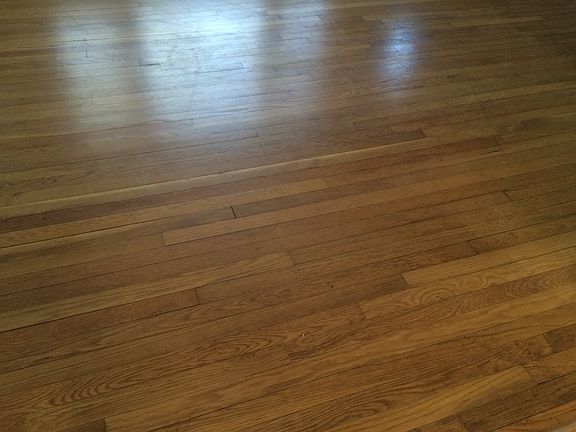 Beautiful hardwoods