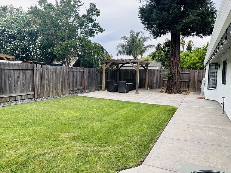 backyard lawn