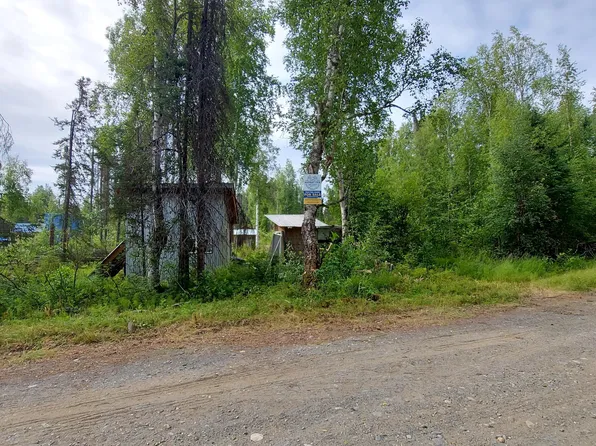 15854 E Greenleaf Dr, Talkeetna, AK 99676