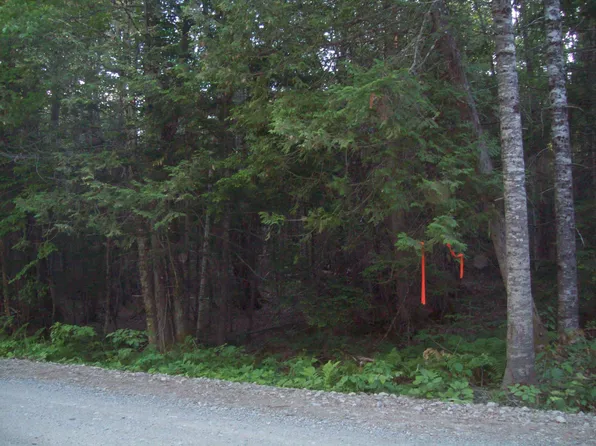 tbd Old Steamboat Road, Lee, ME 04455