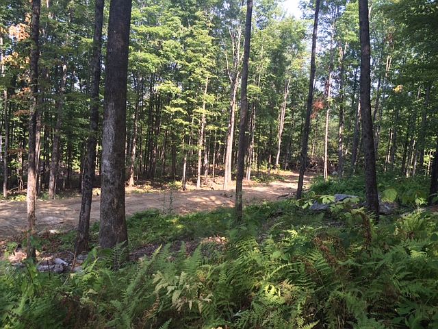 2nd image of Old Stockbridge Turnpike Rd