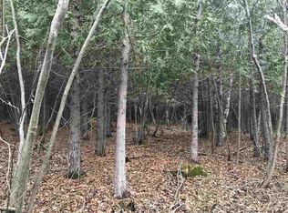 3600 Elder Rd, Carp Lake, MI 49718