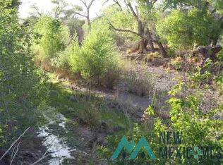Glines Way, Hillsboro, NM 88042