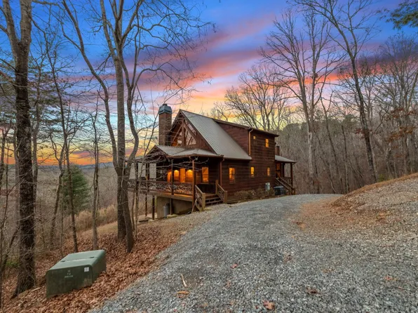 157 Fish Camp Way, Mineral Bluff, GA 30559