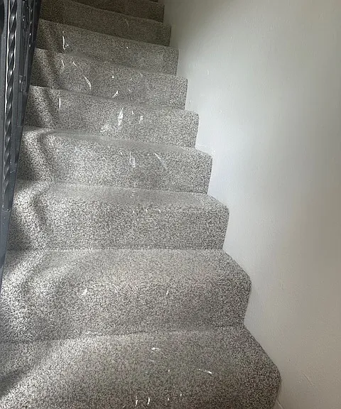 new carpet