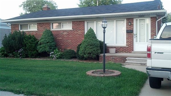Raven front yard
