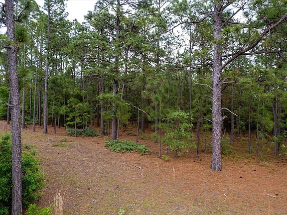 2nd image of 0 Pond Branch Rd
