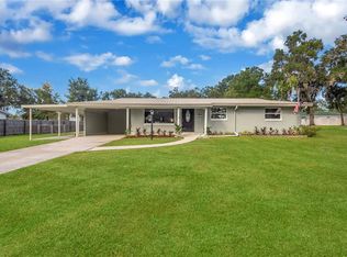13812 MEADOW OAKS DRIVE, DOVER, FL 33527