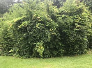 170 Pine Grove Rd, Heidelberg, MS 39439