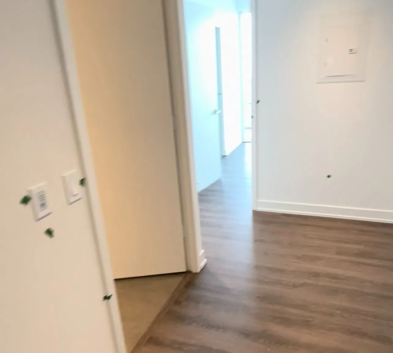 2 bed, $2,900 — Photo 2