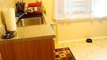 3rd image of 162 Berkshire Pl