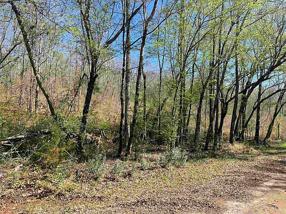 4th image of County Road 3223 S