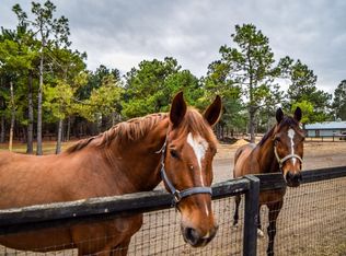 217 Colbert Bridge Rd, Windsor, SC 29856