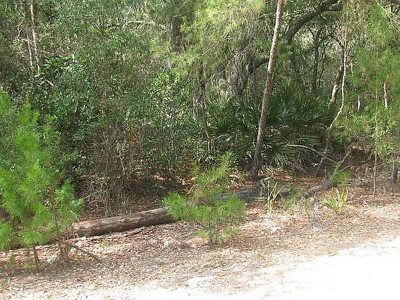 5th image of 144 Lime Ave