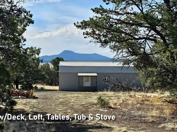 Mujeres View Rd, Fence Lake, NM 87315