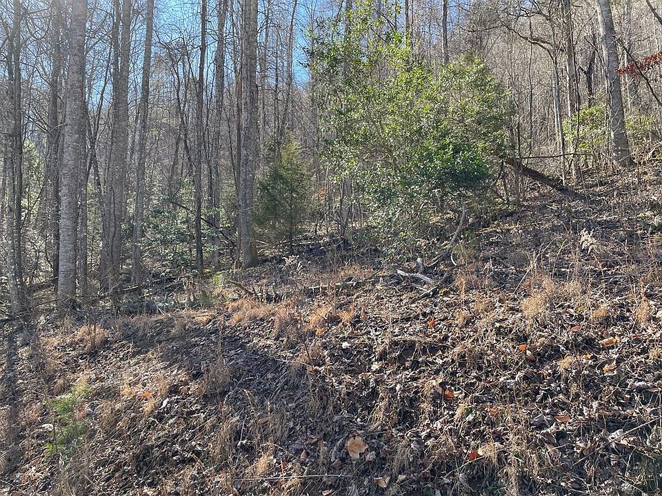 2nd image of 0 Meadow Mountain Estate Rd