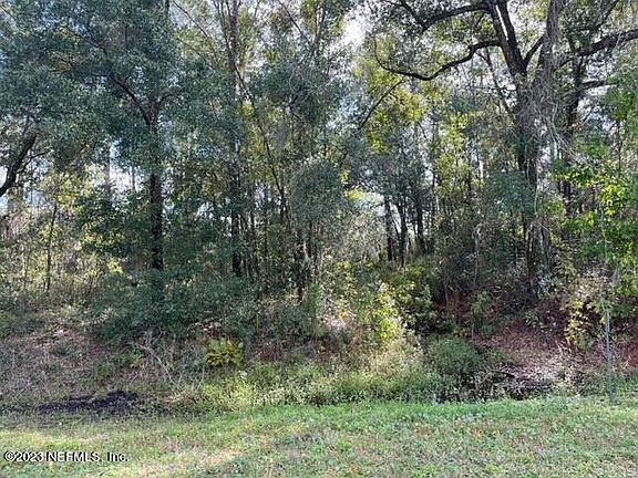 1181 S STATE RD 19, Palatka, FL 32177 | MLS #1259265 | Zillow