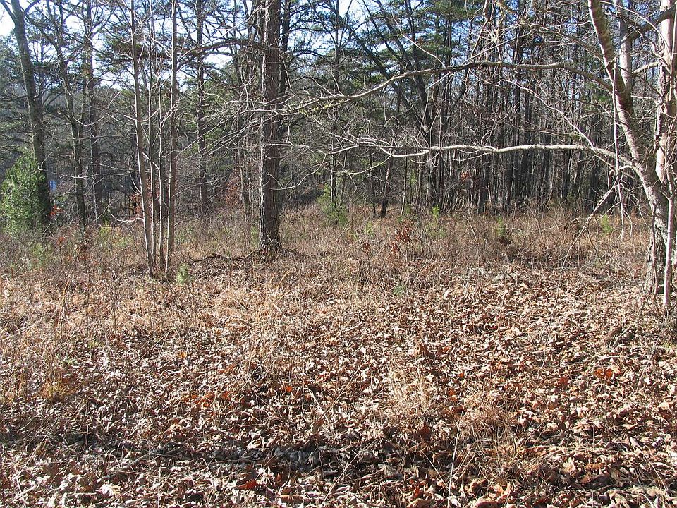 2nd image of Wolf Creek Rd