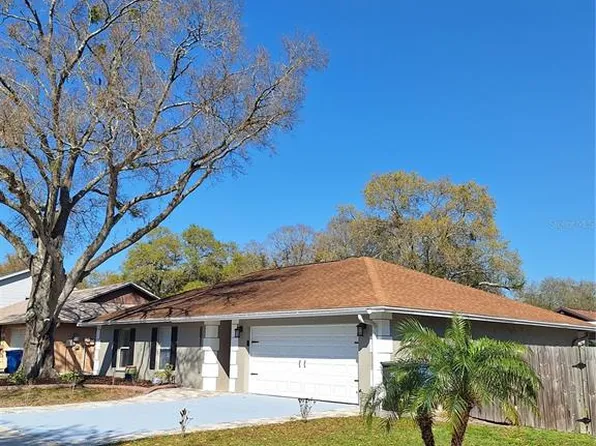 13611 Old Farm Dr, Tampa, FL 33625